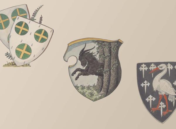 Heraldic shields